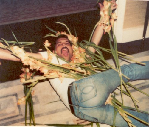 クイーン来日公演へ　「ボヘミアン」ヒット受け来年1月