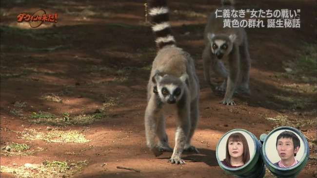 最近の番組リニューアルで残念だったこと、良かったこと。
