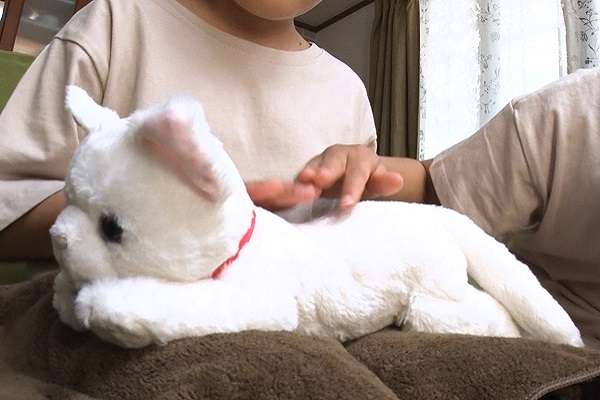 ペットの妊娠・出産を体験できるおもちゃ「ねこ、産んじゃった」が登場！背中をなで続けると産気づいて出産、授乳も学べる