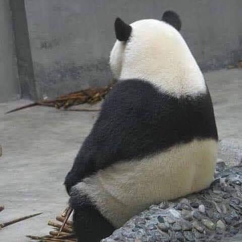 長年やってたことを辞めたことある人