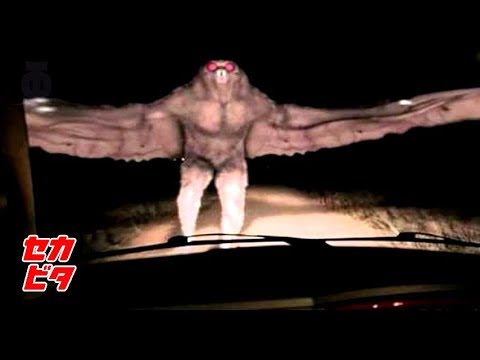 謎は深まるばかり！不可解なモンスターを捉えた５つの映像 - YouTube