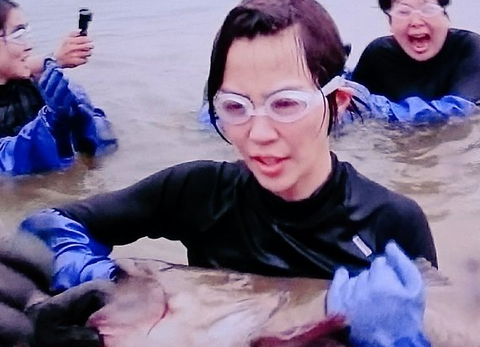 木村佳乃、体張った「芸人殺し」にネット大絶賛 「高速鼻うがい」「牛尿」など挑戦
