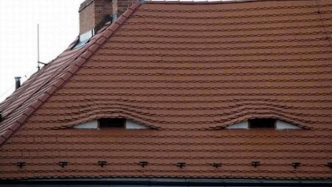 人間じゃないけど人間っぽいと思った画像を貼るトピ