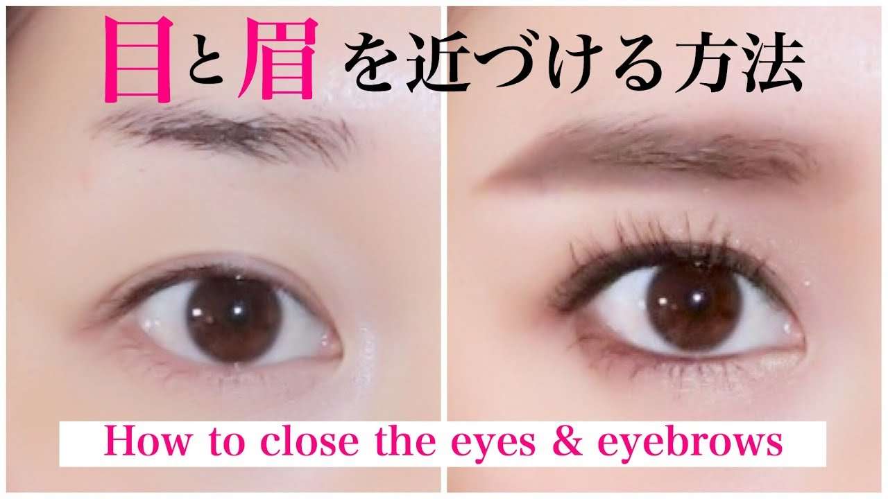 眉と目が離れている方