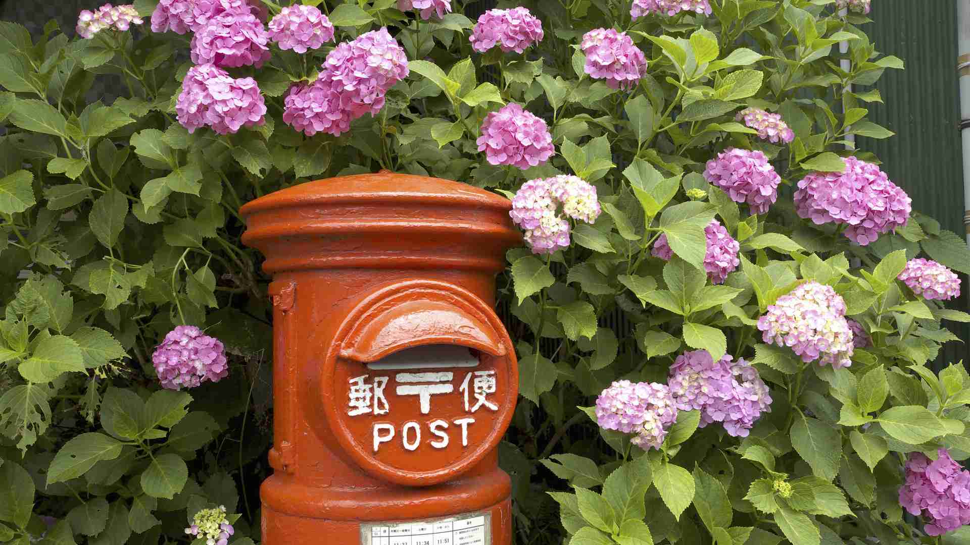 【Yahoo!ニュース 個人】5月の月間MVAとMVCが決定(Yahoo!ニュース個人編集部) - 個人 - Yahoo!ニュース