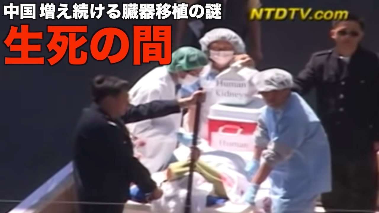 生死の間ー中国 増え続ける臓器移植の謎【世事関心】| 臓器狩り | 新唐人|中国情報 - YouTube