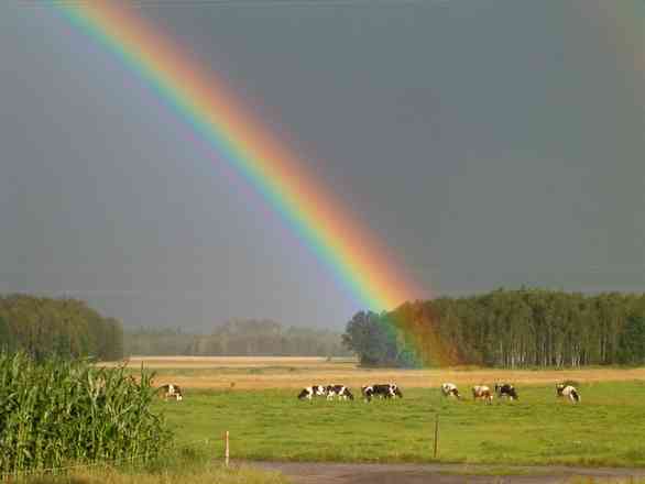 台風の目に入ったことある人