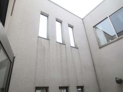 黒い家ってどうですか？