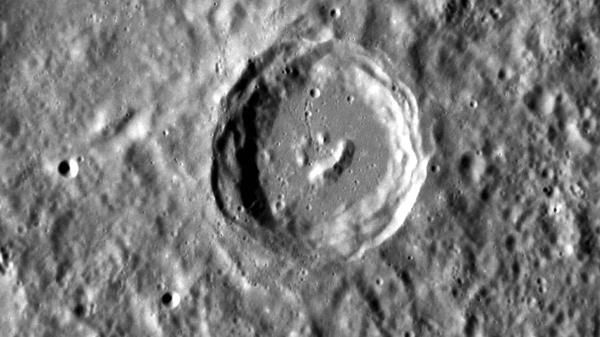 人間じゃないけど人間っぽいと思った画像を貼るトピ