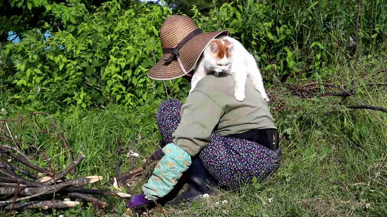 しろときゅうり支柱　190623 - YouTube