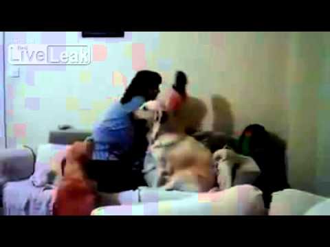 子どもを殴ろうとする母親から子どもを守る犬 - YouTube