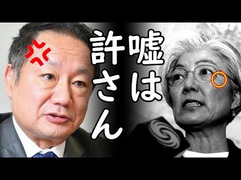 韓国の歴史戦の大嘘を叩き潰し、旭日旗の真実を世界に発信せよ！自民・山田宏議員のド正論に称賛の嵐、一方韓国では太極旗が…ｗ【カッパえんちょーLi】 - YouTube