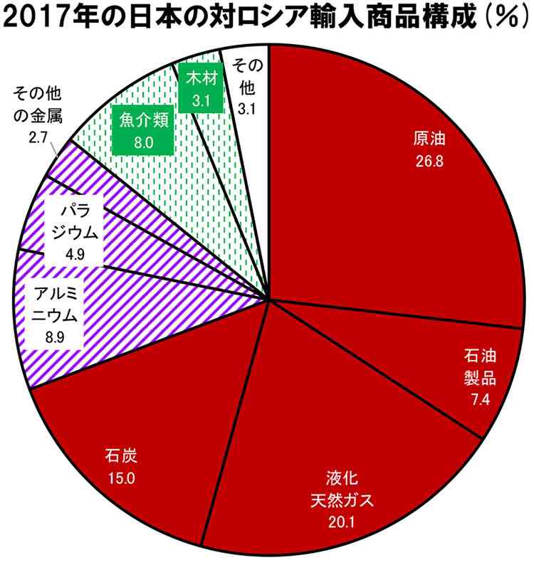 北方領土引き渡す計画なし 首脳会談前にけん制-ロシア大統領