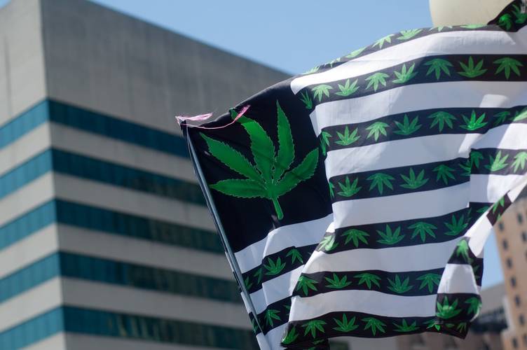       (2/2) 大麻産業の1年から2019年を読む　日本人が知らない世界の合法化事情 - KAI-YOU.net    