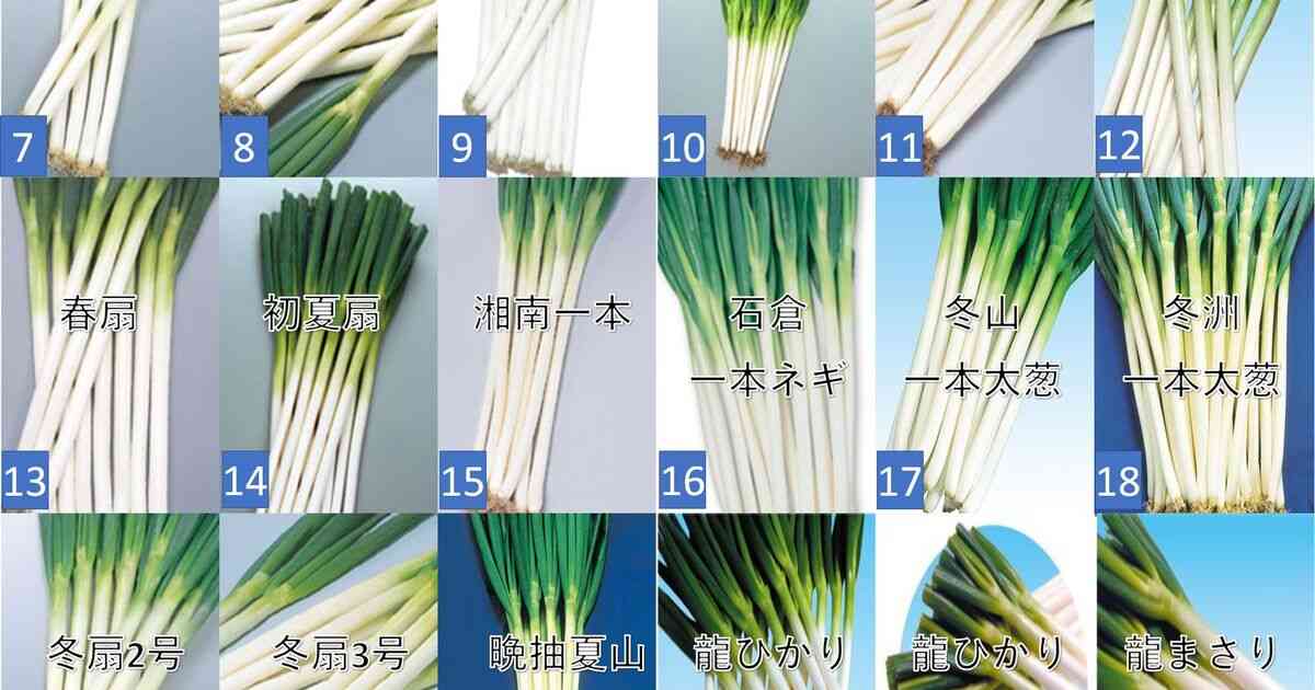 「コンビニ店員はタバコの名前覚えるべき」→「それって○○と同じことだからな」→徐々に大喜利化をエスカレートさせて遊ぶ皆さん - Togetter