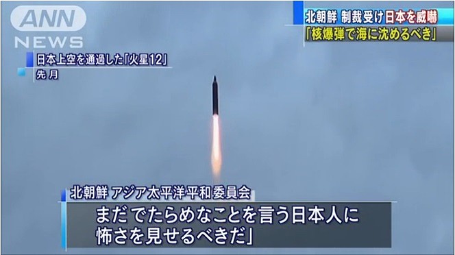 野田洋次郎、米戦闘機購入の政府に「腑に落ちない」