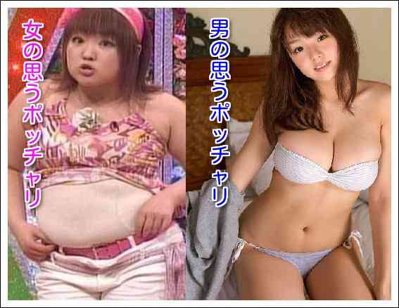 デブとポッチャリの境界線