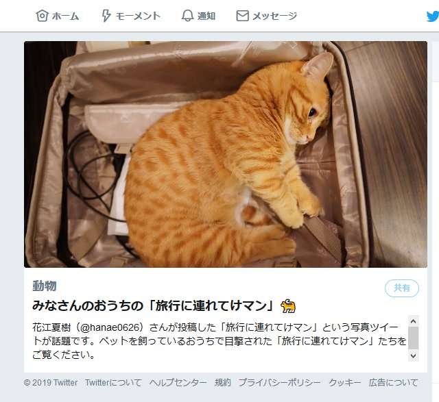 声優・花江夏樹さんのツイートで話題の「旅行に連れてけマン」とは……！？ ｜ ガジェット通信 GetNews