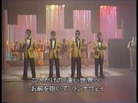 英語でなんて言うの？