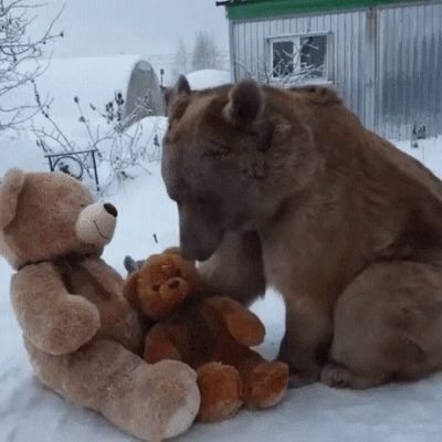GOOFY GIFS TO MAKE YOU GRIN | ANIMAL CRACKERS