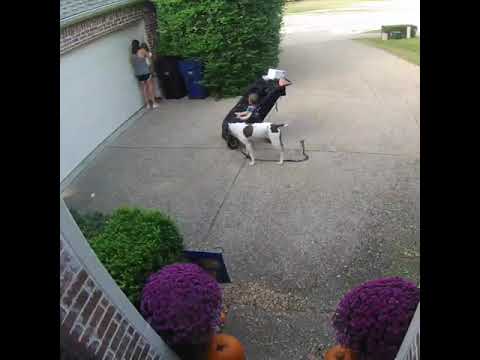 Can't turn away for a second - YouTube