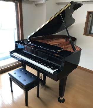 楽器の名前を答えてください