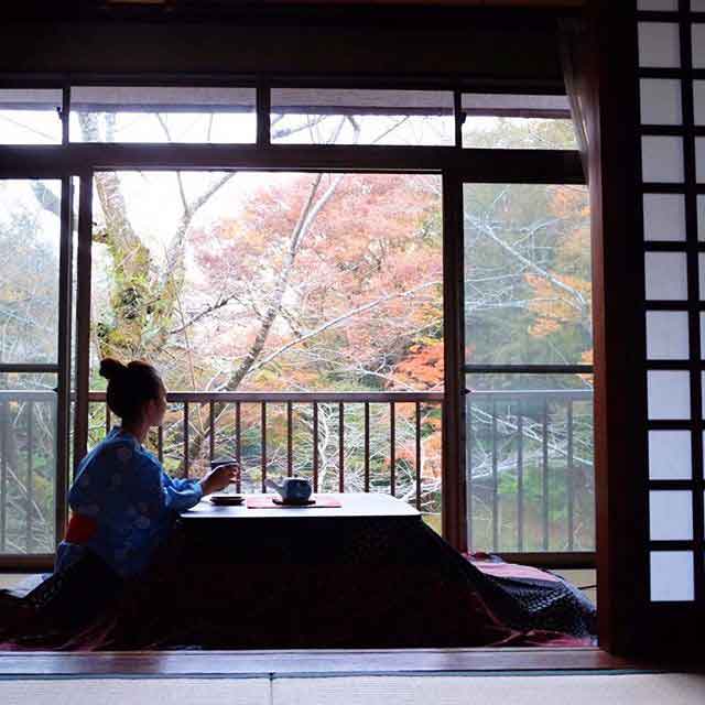 一人旅で行った所と費用教えてください