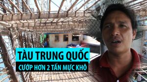 【南シナ海】中国船がベトナム漁船からイカ２トン強奪「ここは中国の海域だ。今後は操業を認めない」 ｜ 保守速報