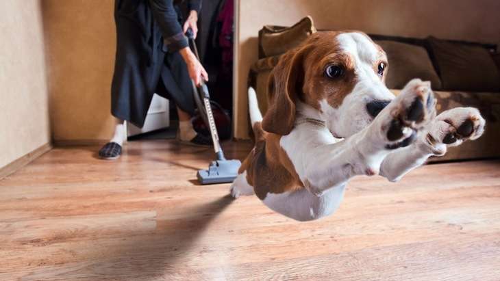 【画像】助けて～!と叫んでいそうな動物たち