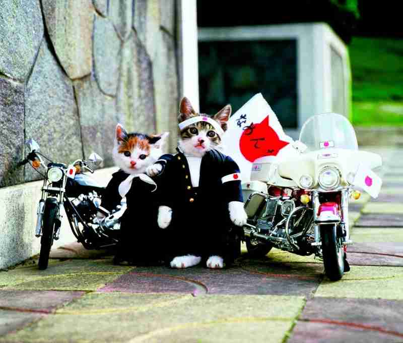 横浜銀蝿を語りたい