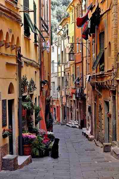 路地裏の写真をひたすら貼るトピ