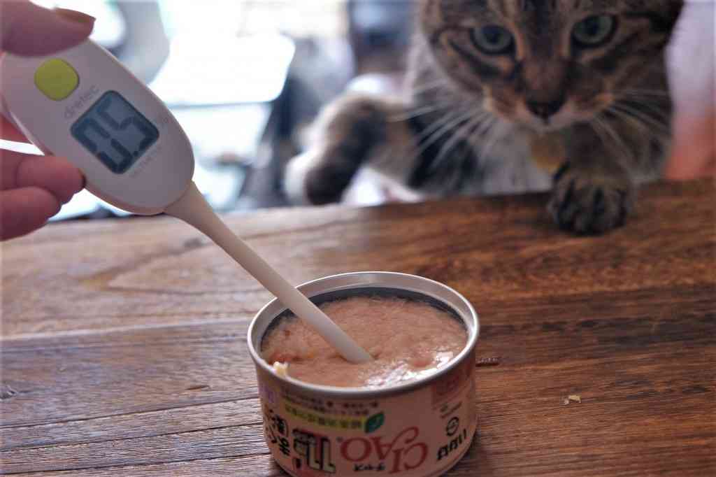 キャットフードやちゅ～るの塩分濃度にご注意！猫の慢性腎臓病で塩分チェック始めました | モフマガ by ペットホームウェブ