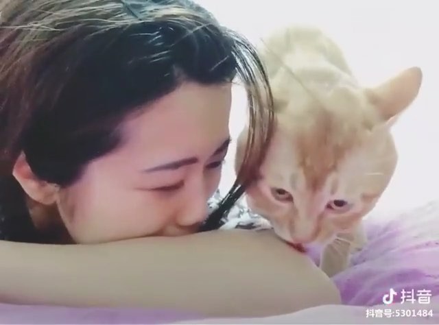 Instagram: “Don’t worry hooman, I’m here!”