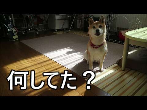 旦那によく言われる言葉