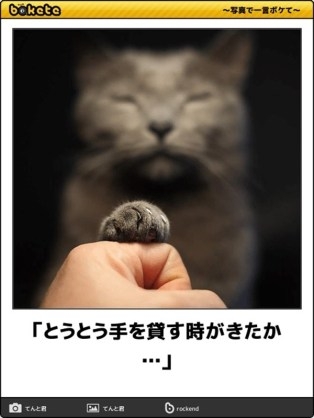 動物のboketeを貼るトピpart4