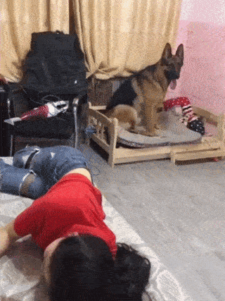 ペットって辛い時や悲しい時に慰めにきてくれませんか？