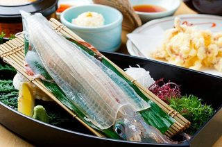 おいでよ!雑談の森!PART2