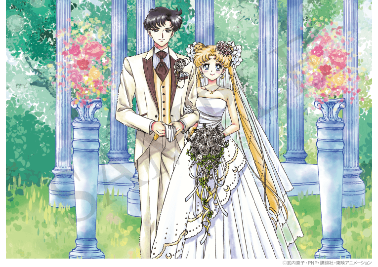 セーラームーン婚姻届6種類と婚姻届用アルバム | 婚姻届のtodoke