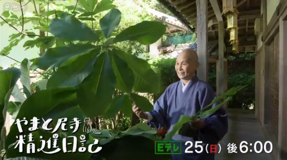 好きな料理番組