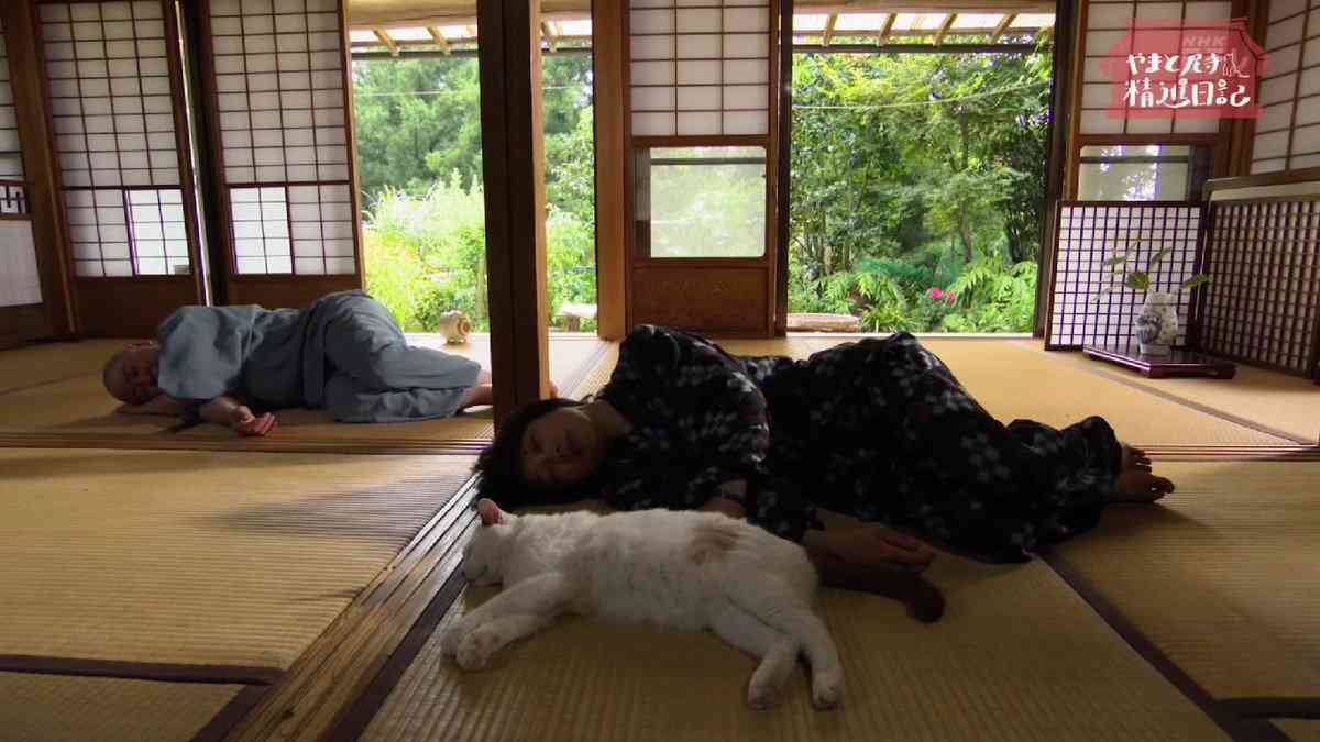 好きな料理番組
