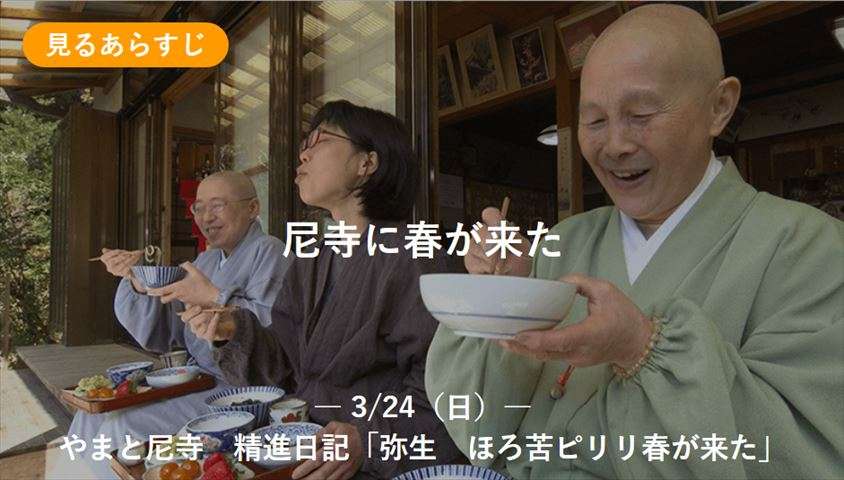 好きな料理番組