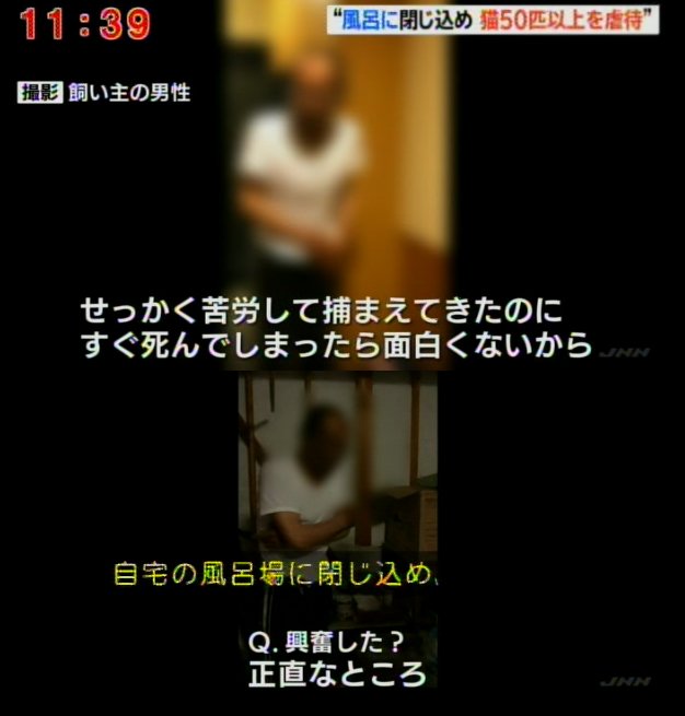 猫を連れ去り50匹以上殺害 51歳男の身勝手な動機による凶行に戦慄走る