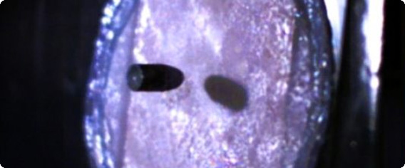 弾丸をも止めることができる人工防弾皮膚をクモの糸とヤギの乳から作り出すことに成功（オランダ） : カラパイア