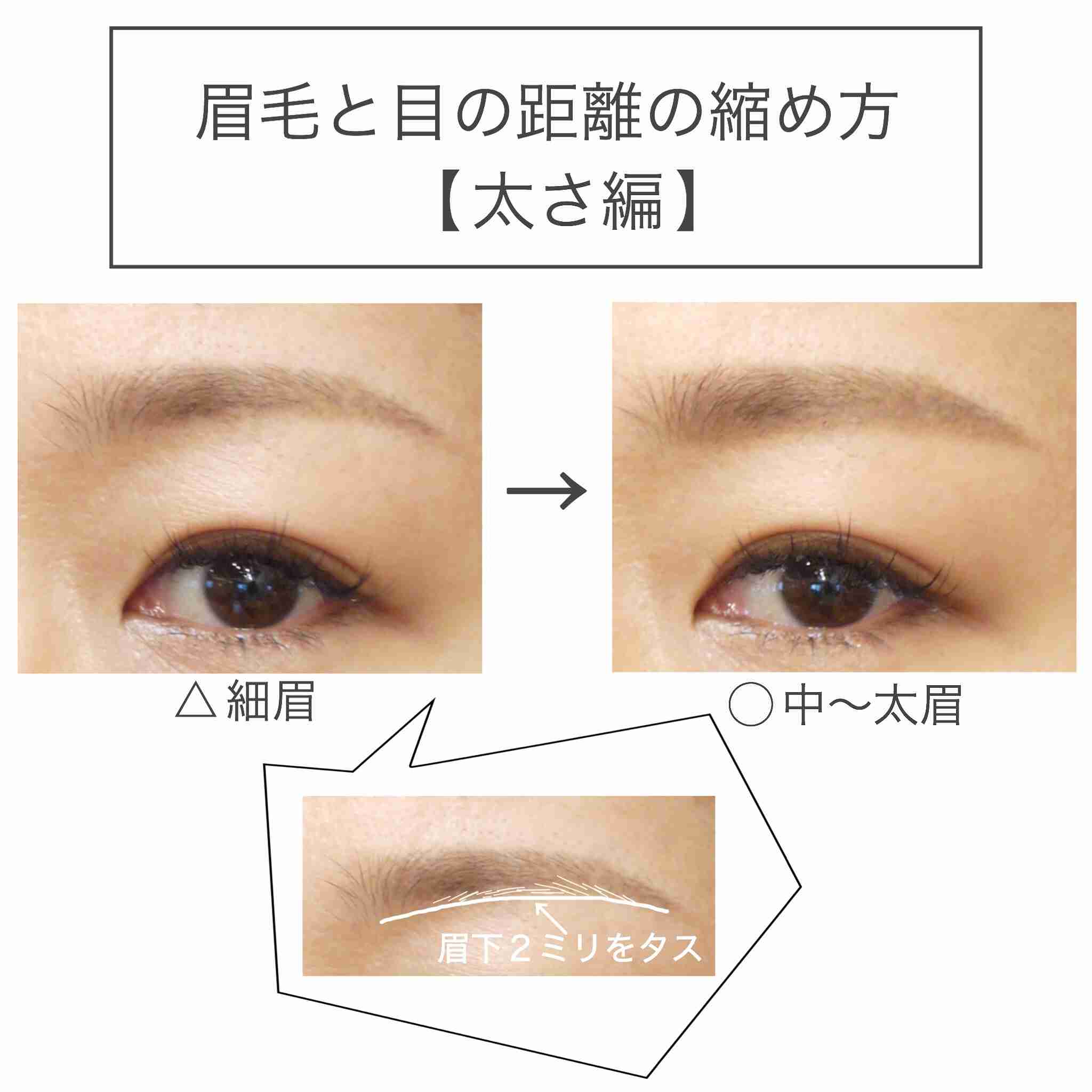眉と目が離れている方
