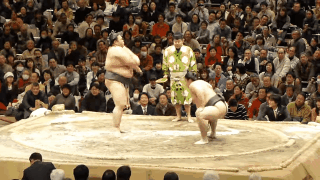 明るい気分になれるGIF画像を貼っていくトピPart2