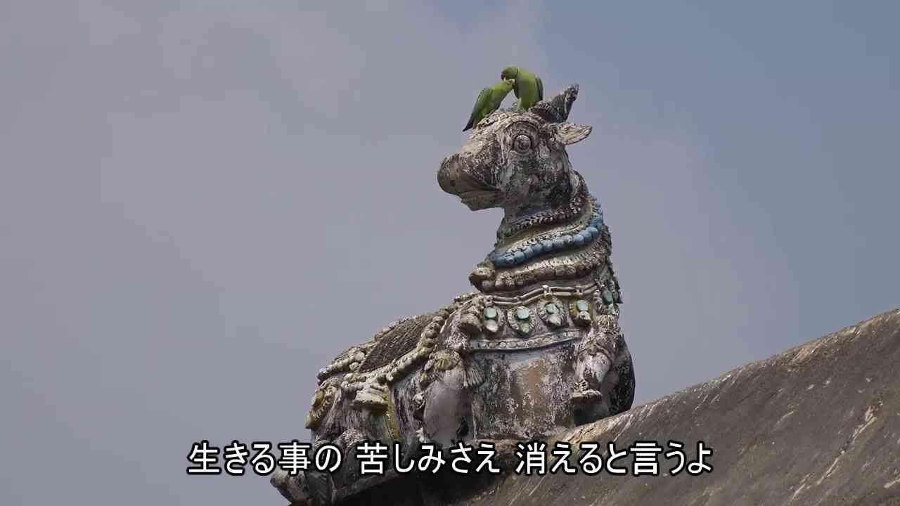 ガンダーラ　ゴダイゴ - YouTube