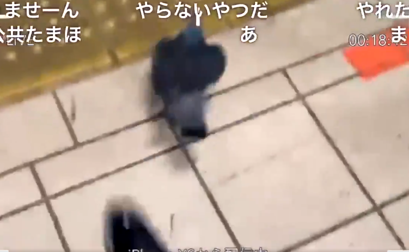 【実況・感想】参院選2019 開票速報