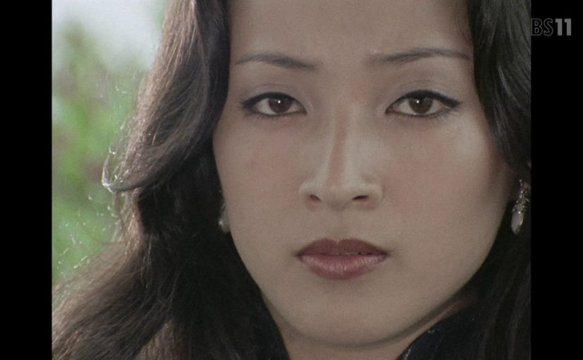日本代表にしたい美人を一人挙げる