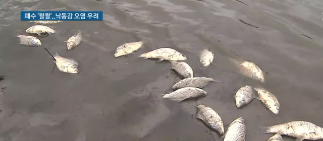 韓国で地下水から3万7000倍超えのカドミウム、魚や鳥が大量死 : ZAPZAP!