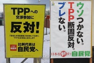 【実況・感想】参院選2019 開票速報